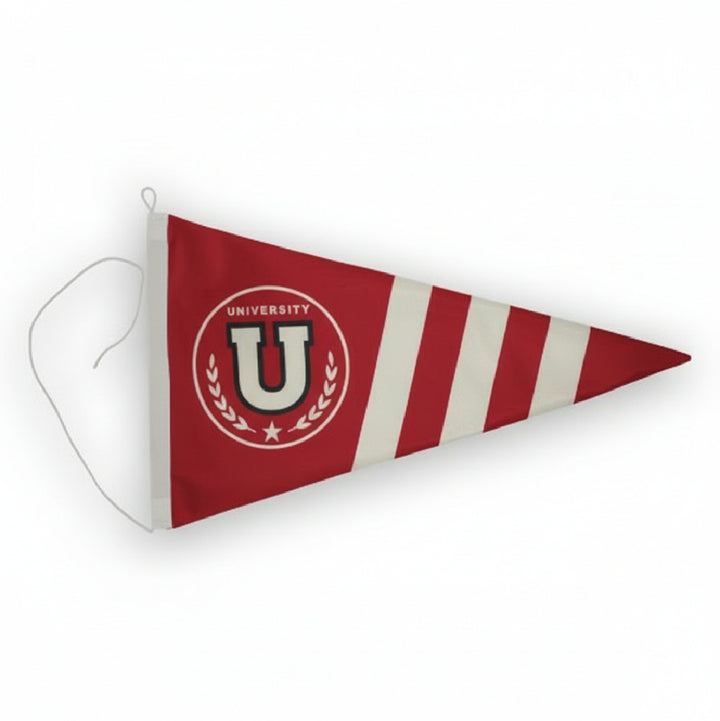 BANDERÍN UNIVERSITY