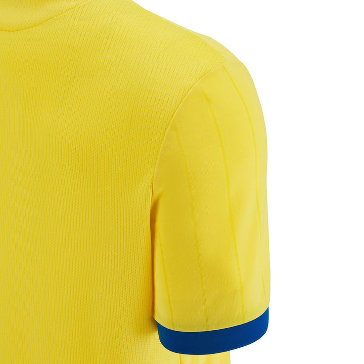 #color_amarillo-azul-royal