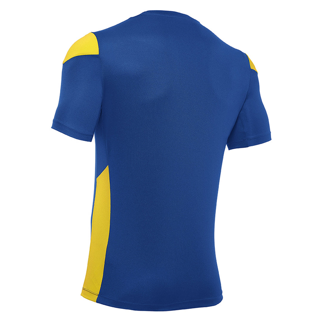 #color_azul-royal-amarillo
