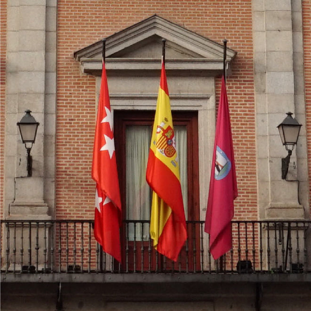 Bandera Local (SUBE TU BANDERA)